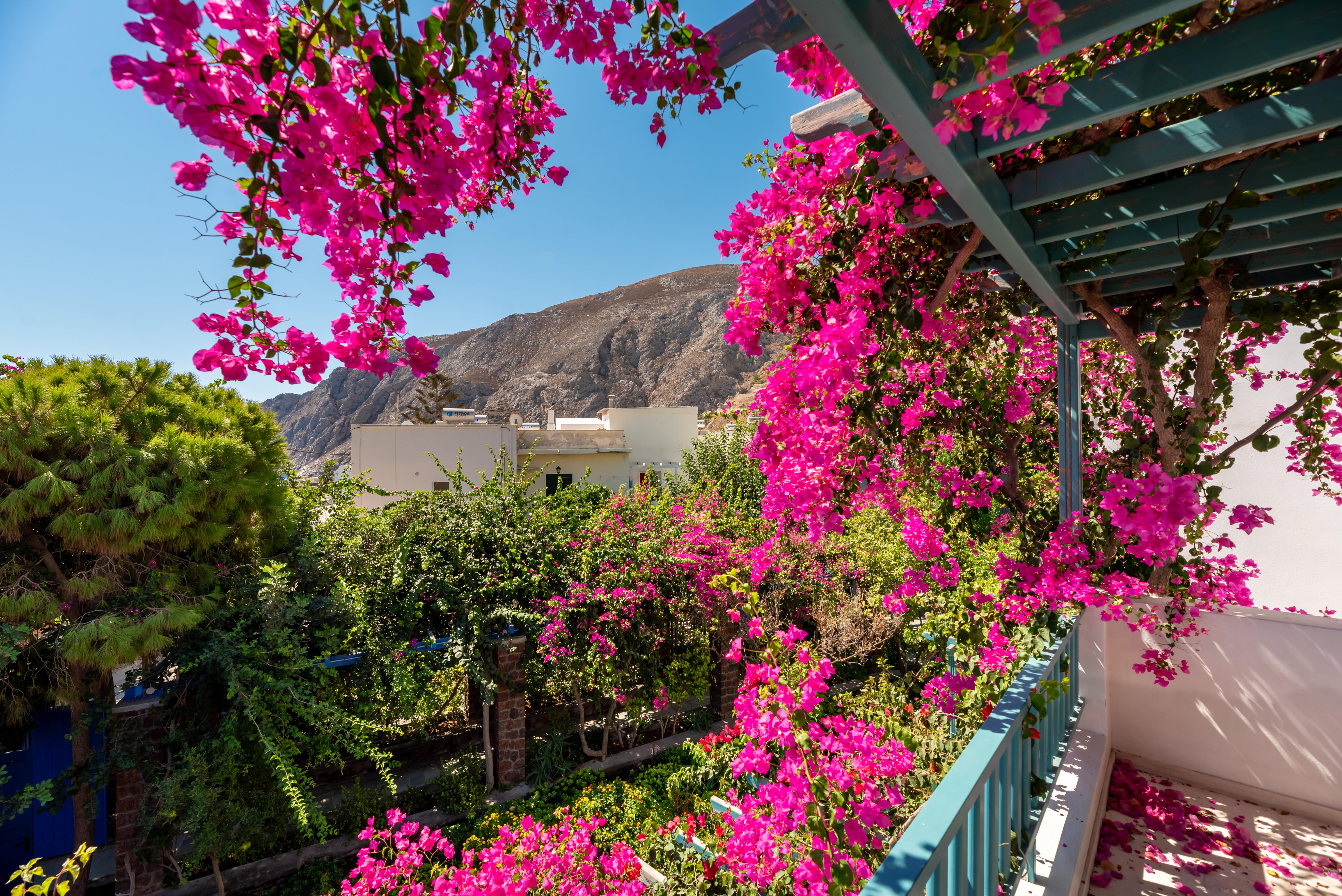 Hotel Andreas Kamári المظهر الخارجي الصورة